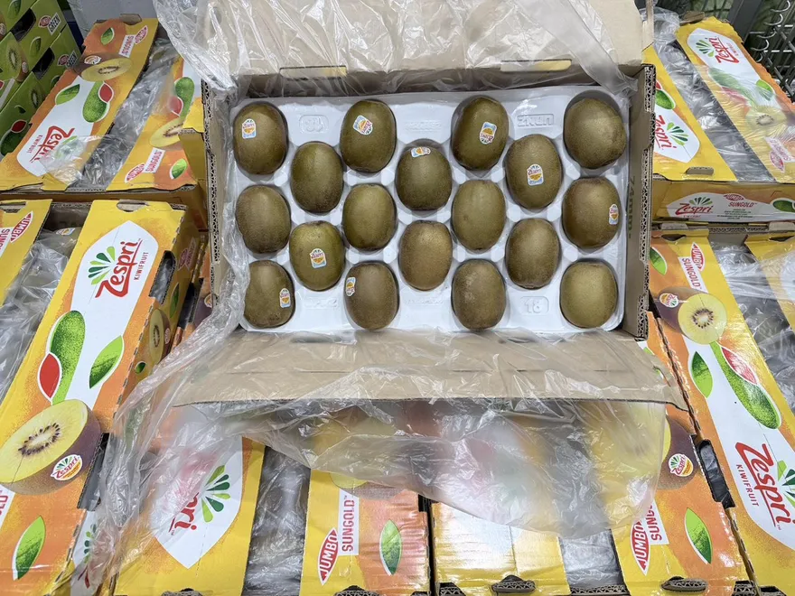 好市多推盛夏好康　買Zespri陽光金圓頭奇異果送精美購物袋