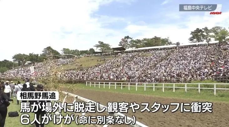 日本福島縣傳統祭典傳意外！馬匹暴衝撞人群釀6傷