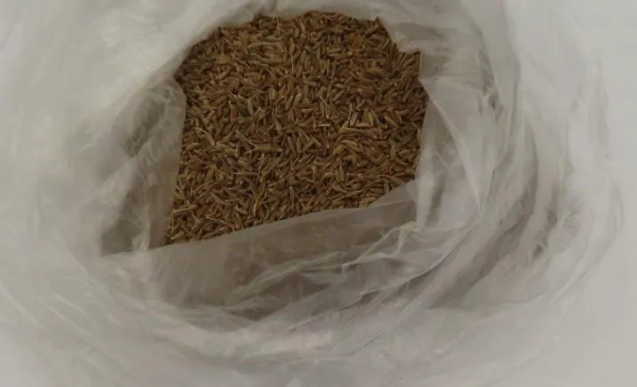 印度小茴香農藥超標近10倍！越南榴槤、大陸紅棗乾同遭攔截