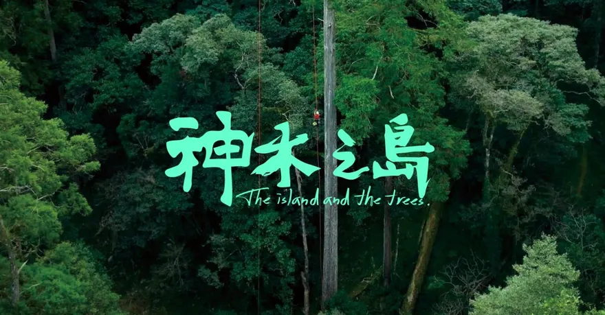 昔票房掛蛋導演哭了！紀錄片《神木之島》神反轉賣贏商業片