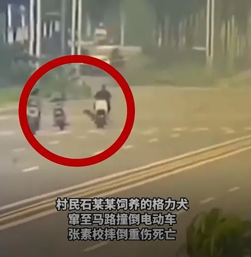 影/猛犬暴竄馬路！陸38歲女騎士遭「攔腰撞飛」　頭部重創慘死