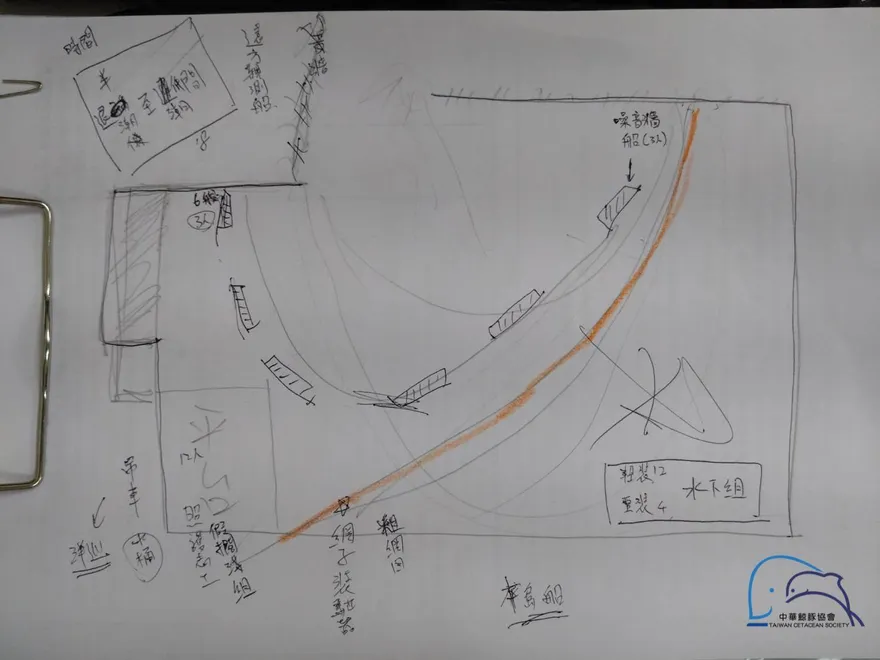 不餵食不圈養害死海豚？鯨豚協會轟：30年前老方法沒用