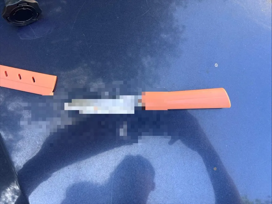 影/國父紀念館旁驚傳持刀傷人！只因過路問題　警火速逮人
