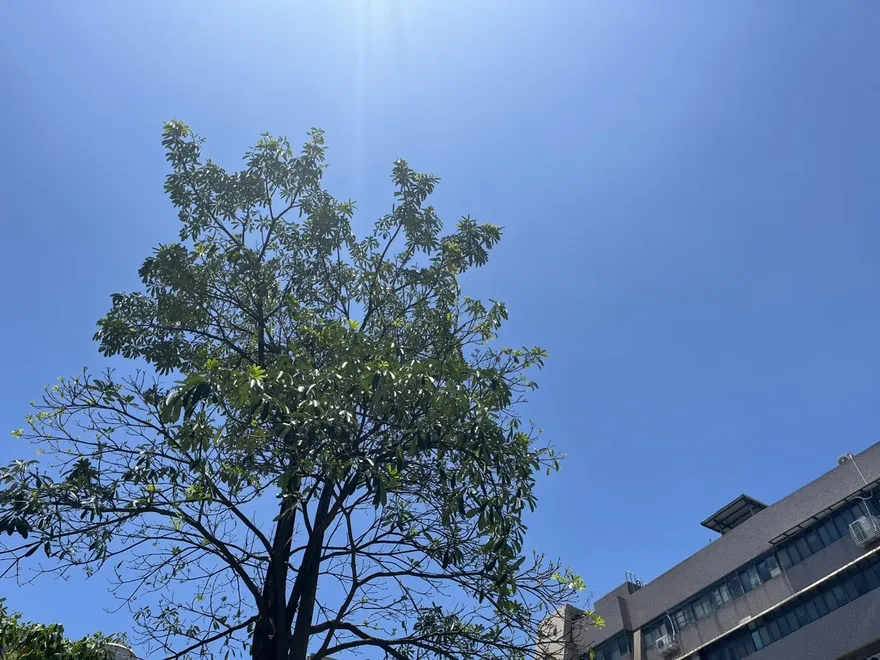 8縣市熱翻！恐飆38度極端高溫　慎防中暑、熱傷害