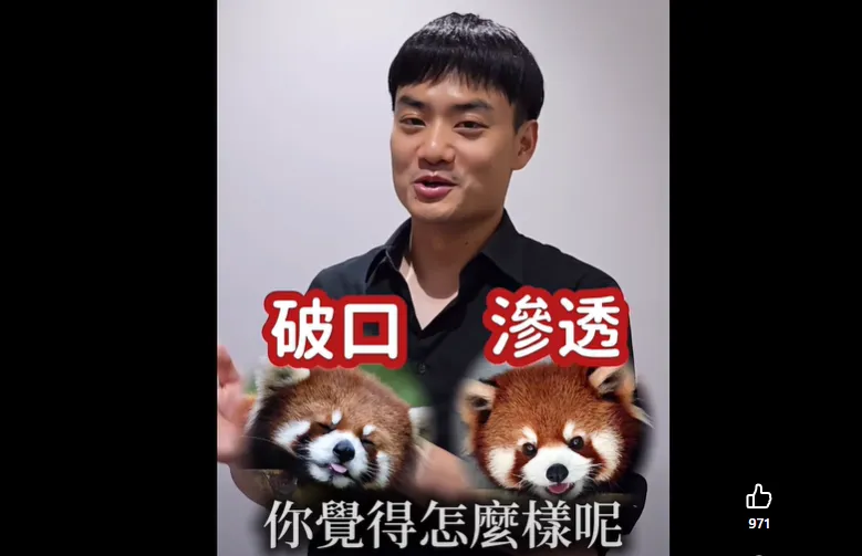 小貓熊抵台交流！殷瑋開轟沈伯洋：黑熊這下被打臉了？