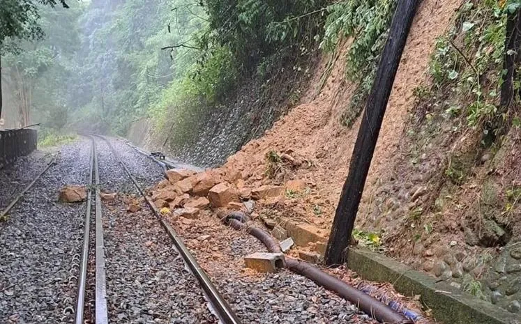 樹倒阻鐵路！集集線「濁水＝集集」一度中斷　台鐵：已恢復行車