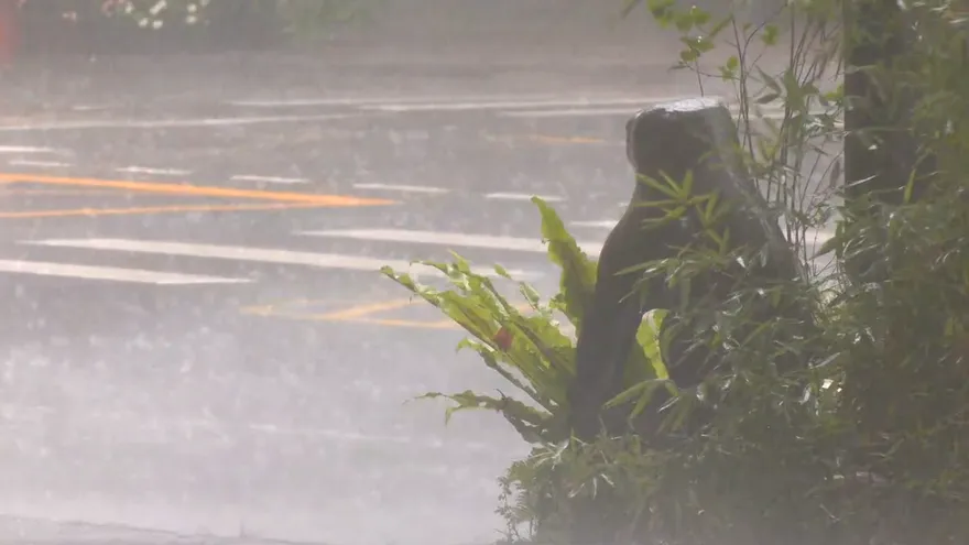影/最強雨彈襲！台中開設水災三級應變中心　高雄升二級