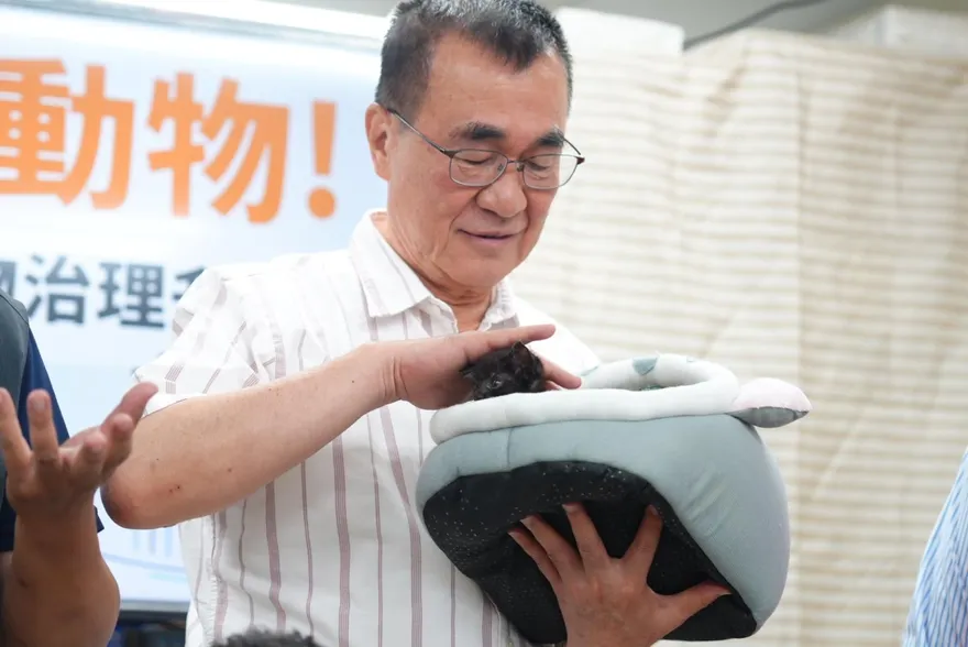 毛寶貝免掛號費！李四川公布六大動保政策　首創新北市立動保醫院
