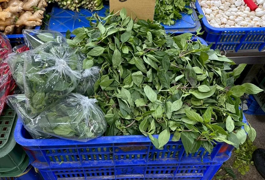 瓦城天母店「九層塔」農藥超標！四氯異苯腈逾標準10倍