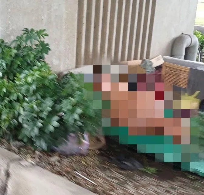 高雄大寮驚見《進擊的巨人》真實版！台88橋下脫光光