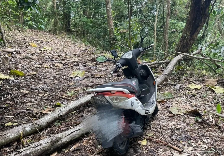六龜驚見斷頭女屍遭野獸啃食　身分疑失蹤近月台南女