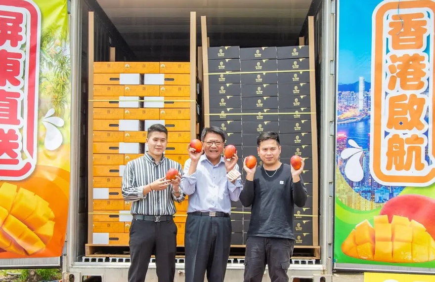 潘孟安昔日笑推芒果外銷香港　作家：算不算仰人鼻息？