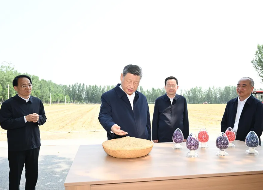 穩糧食！習近平赴山東德州農村考察　喊力保重要農產品穩定供給
