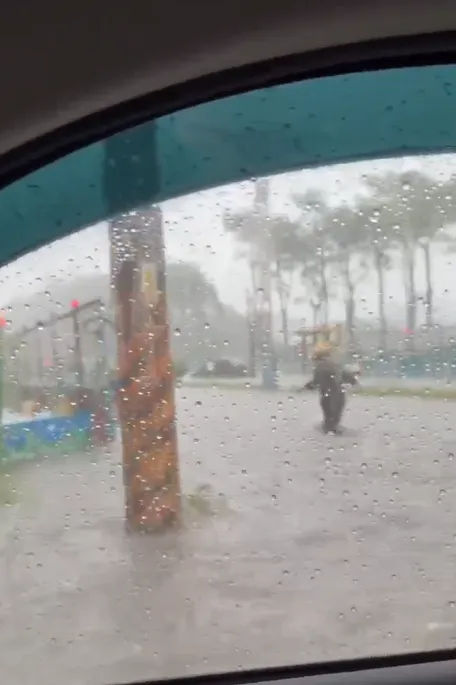 影/豪雨狂炸！內湖馬路淹水變「黃河」　整排機車全泡水