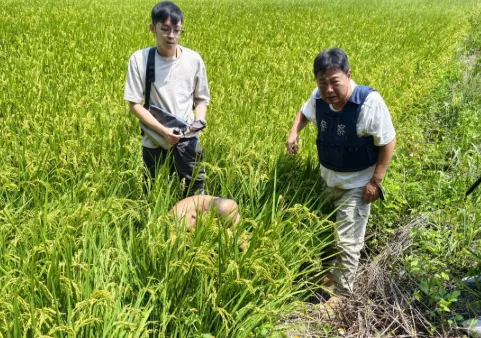 拒捕撞傷2員警！台中毒犯遭查出「另涉槍枝案」 收押