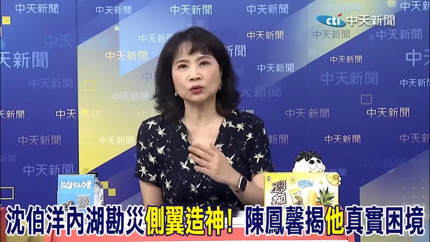 沈伯洋內湖勘災喊消毒　陳鳳馨酸：挑什麼議題必翻車