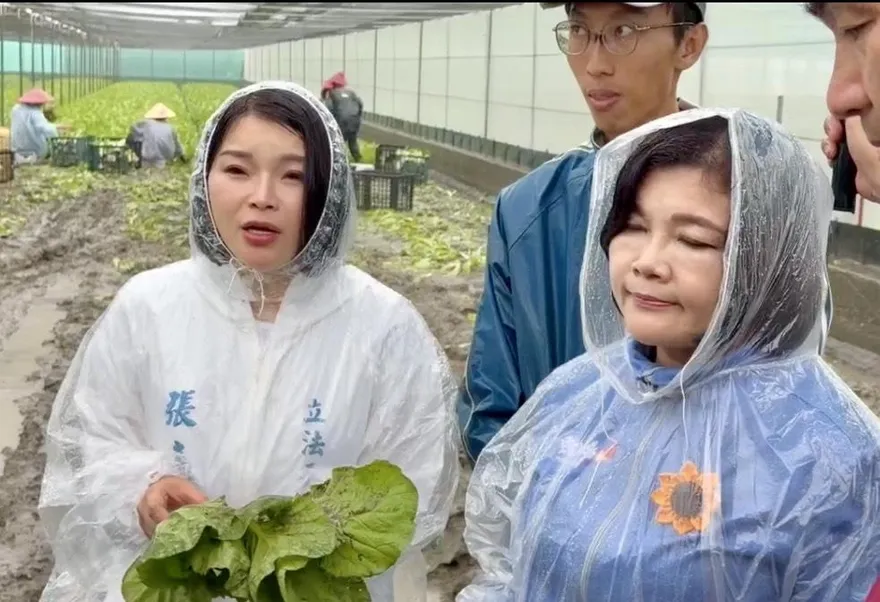 暴雨重創雲林！葉菜類災情慘重　張嘉郡：爭取天然災害補助