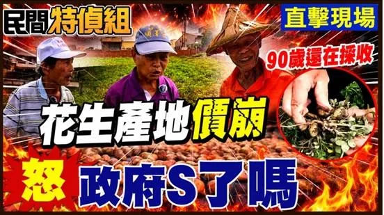 花生農：活不下去！美國花生0關稅大錯！盤商收購砍半