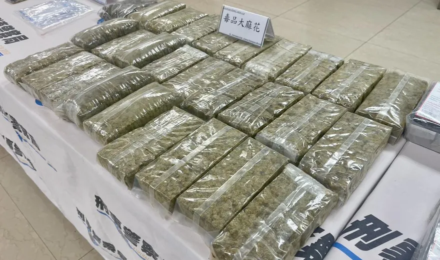 影/跨國桂圓包裹藏6公斤大麻　刑事局聯手海關逮2嫌