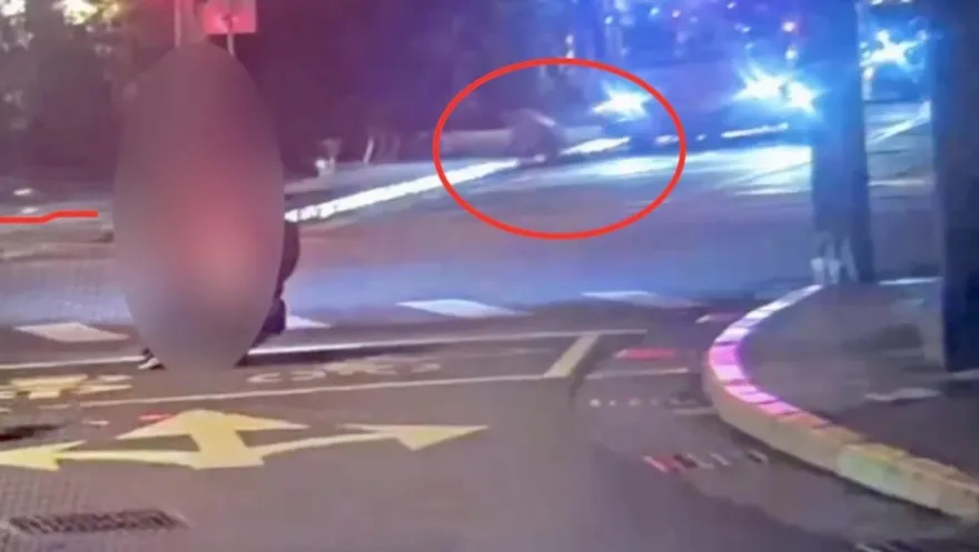 影/北市女沒搭到公車竟人肉擋道　狗爬離開司機傻眼