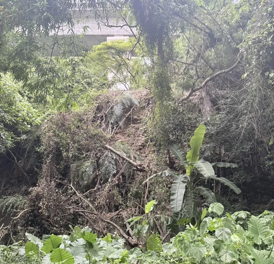暴雨生吞民宅？新莊驚傳「山崩土石流」　直衝社區嚇壞住戶