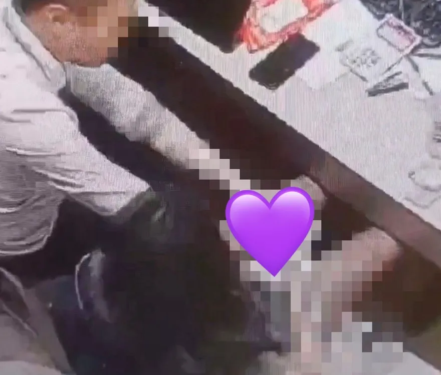 影/社區大廳櫃台出大事！新北驚見「男保全激戰女祕書」