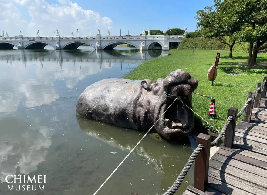 奇美博物館防颱綁350公斤河馬！網笑瘋：阿嬤拔牙法