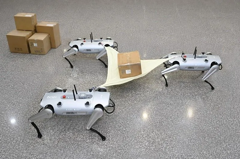 MIT機器狗曝光！會互相合作、還能巡檢、消防和救災
