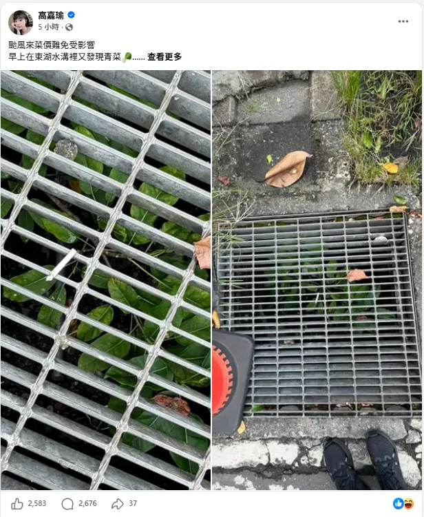高嘉瑜發文「水溝裡有青菜」　連日引戰網炸鍋：妳煩不煩？