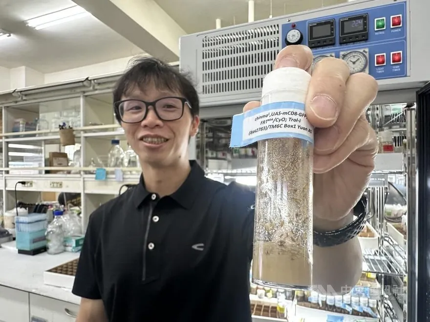 果蠅實驗發現　精子幹細胞環境老化影響下一代