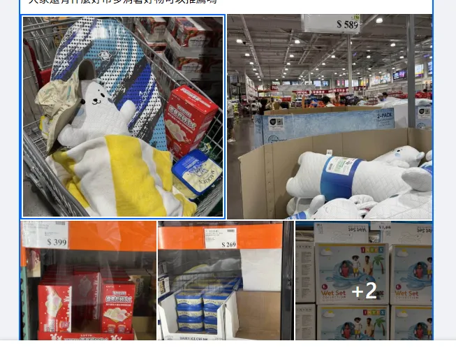 熱到懷疑人生　好市多消暑品夯冰品、涼感抱枕到戲水玩具一次買齊