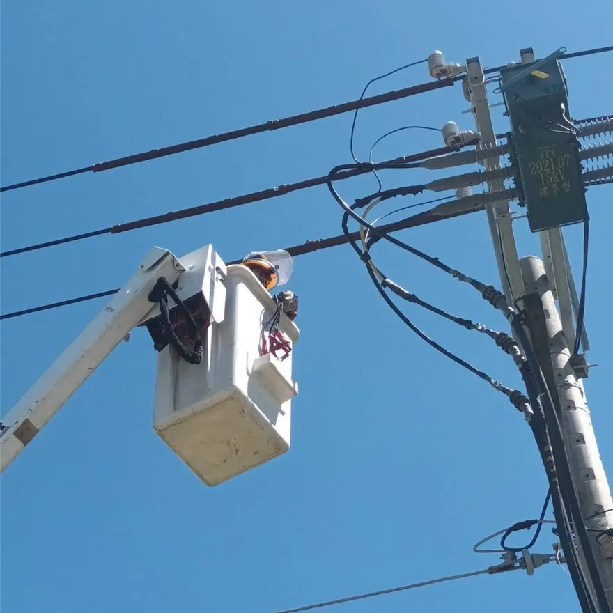 彰化伸港清晨無預警停電　台電：松鼠誤觸高壓設備
