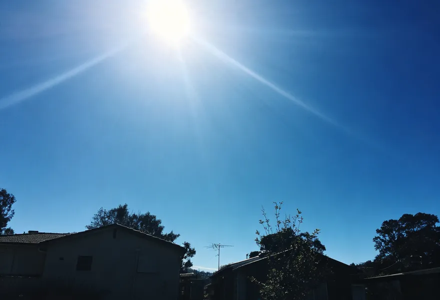 頭皮屑暴增、髮根變細？夏日紫外線恐讓毛囊萎縮
