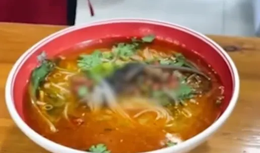 吃湯麵驚見碗中躺著「老鼠全屍」客人嚇壞　店家回應：牠從天花板掉下來的