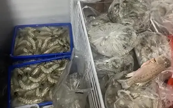 母親怕吃不到「無汙染海鮮」　將3公尺冰櫃囤貨「塞滿滿」嚇壞兒