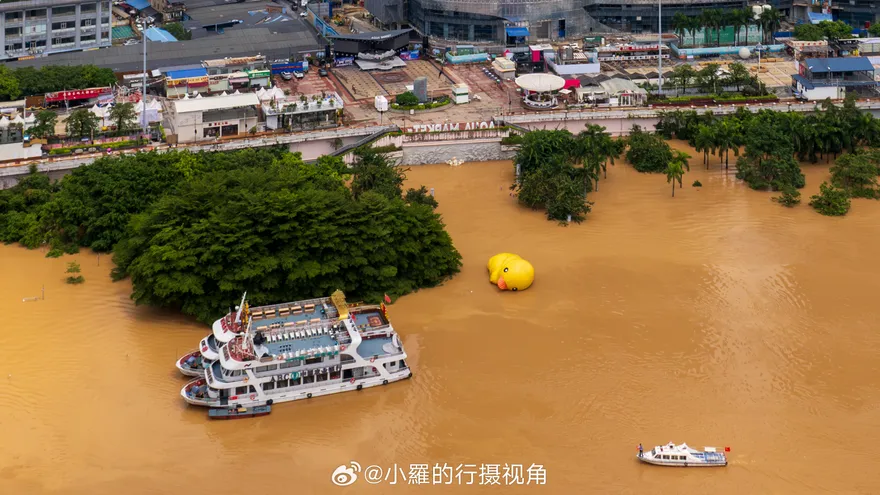 影/颱風「摩羯」後遺症！廣西多地慘遭洪災　連網紅小黃鴨都「emo了」