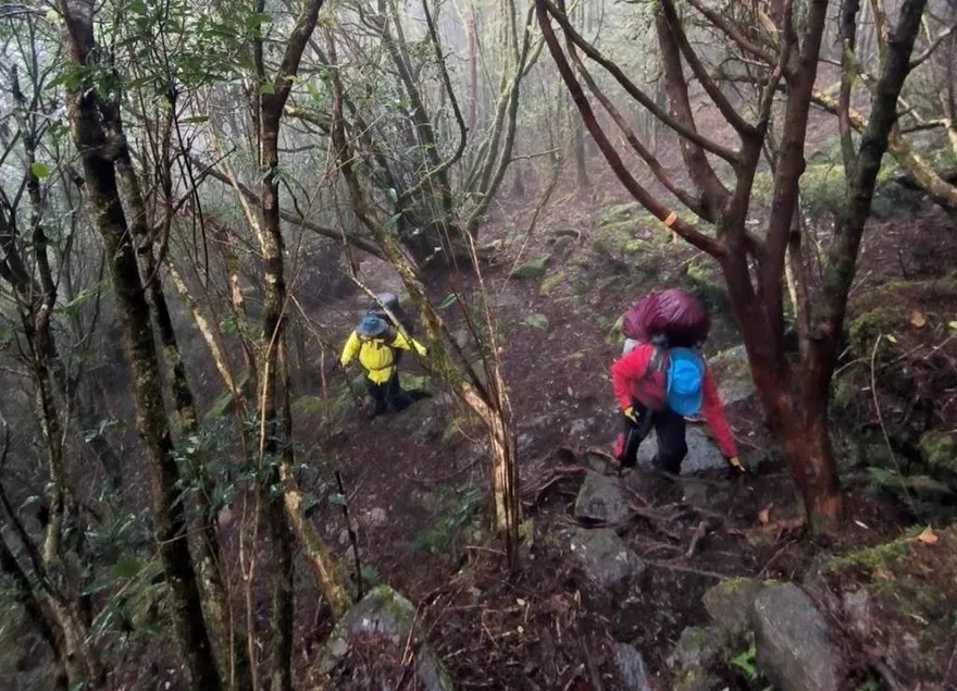 女山友獲救稱「沒丟包」！登山專家：隊友仍有錯才釀山難