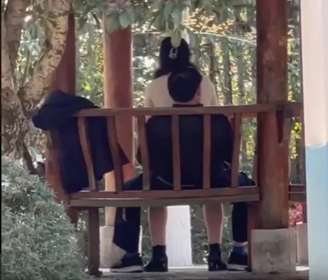 影/天熱公園消火！光天化日驚見「女上男下」涼亭激戰