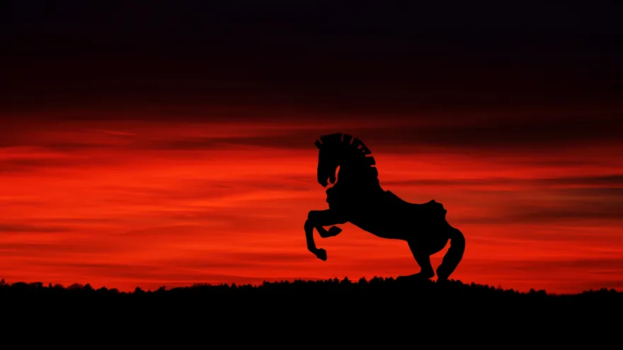 60年一遇「赤馬年」！4生肖體質火旺　應避免穿太紅