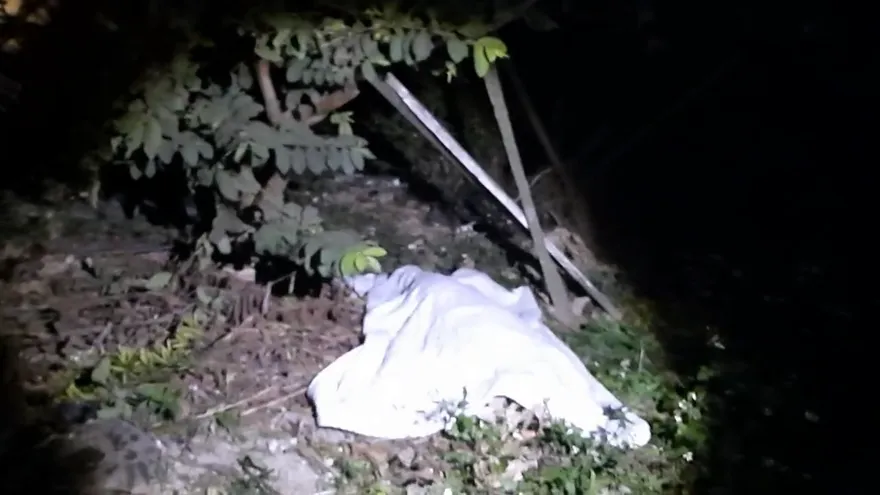 影/苗栗台1線獨子駕車彈飛20米撞牆、電桿　當場爆頭亡