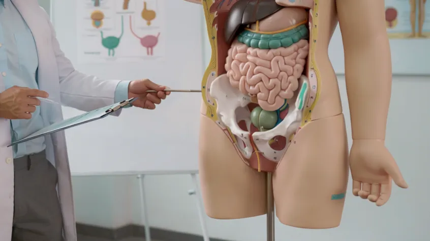 降4成死亡風險！大腸癌雙標靶5月納健保　患者現省160萬元