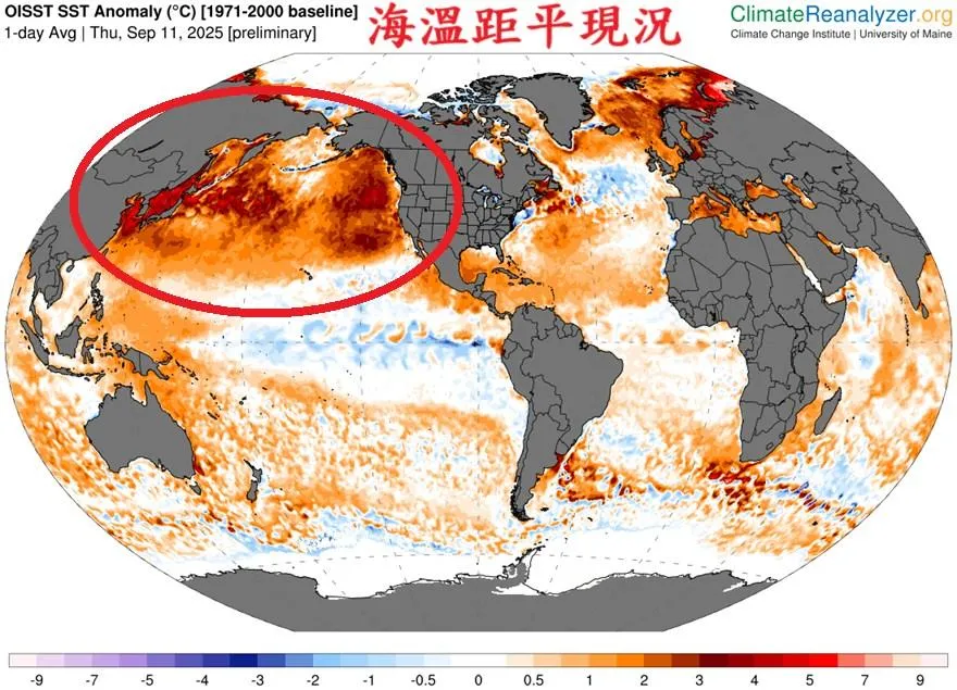 鄭明典表示，觀看這張距平圖，暖海水明顯地往東擴展，已經接觸北美西岸，而且是很高的距平值。（圖／翻攝自鄭明典臉書）