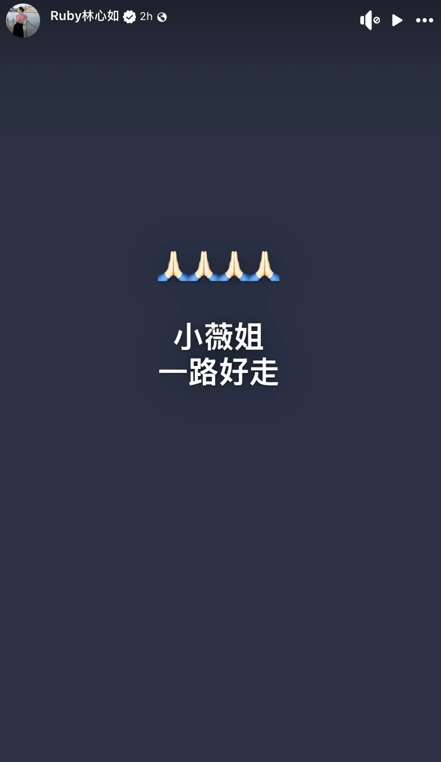 林心如發文悼念，感性喊「一路好走」。（圖／翻攝自林心如臉書）