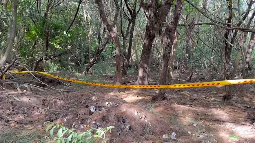 台南防風林「驚見狗群啃屍」！他癱倒慘淪碎屍　友神隱2天露面：人我殺的