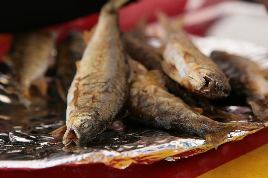 【影】邊吃飯愛配「這種魚」？醫示警：小心罹「鼻咽癌」機率高7倍！