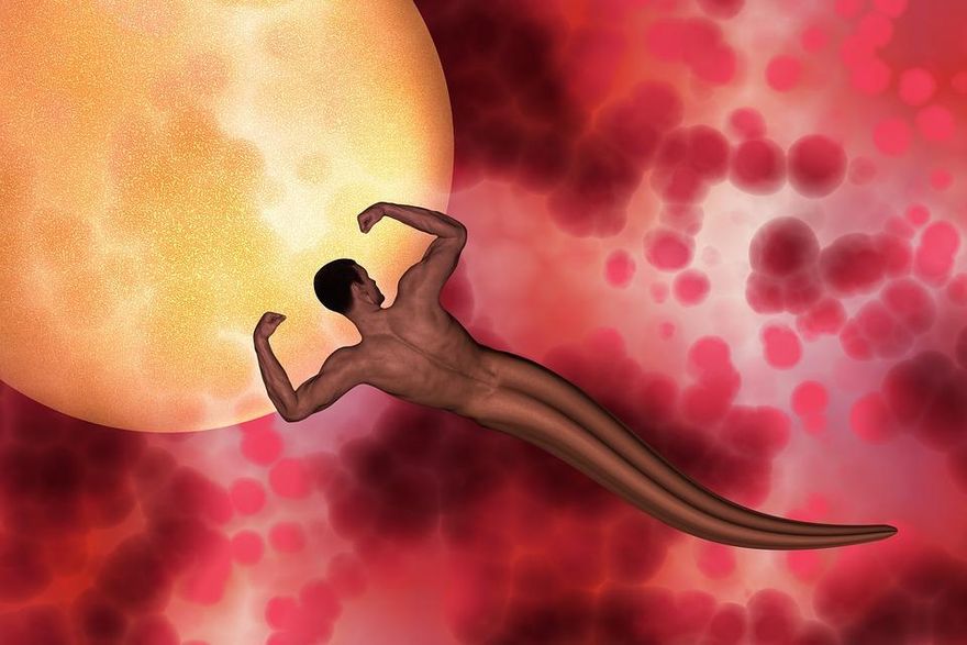 全球剛迎來第80億人誕生！研究：男性精子濃度卻「斷崖式下降」