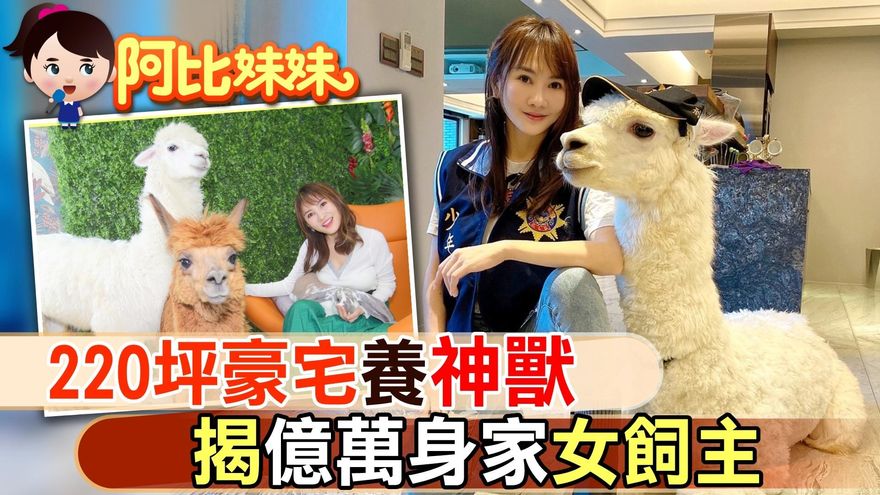 萌到讓阿比尖叫！220坪豪宅養萌獸羊駝　揭億萬身家女飼主