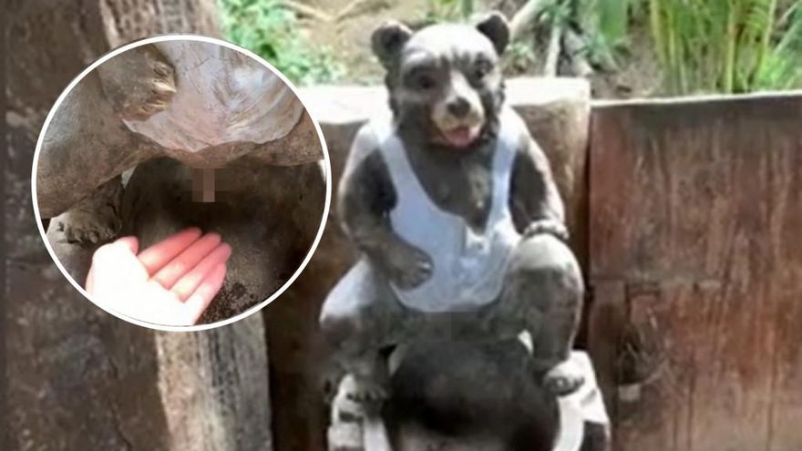 尿尿小熊？動物雕塑生殖器裝水龍頭…伸手感應就出水　景區挨轟低俗稱整改中