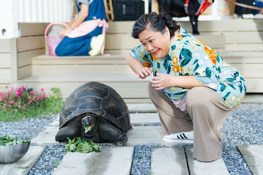 鍾欣凌驚吐「老公要找沒公婆的」！無奈曝「婆尪糾紛」內幕：最多只能待2小時