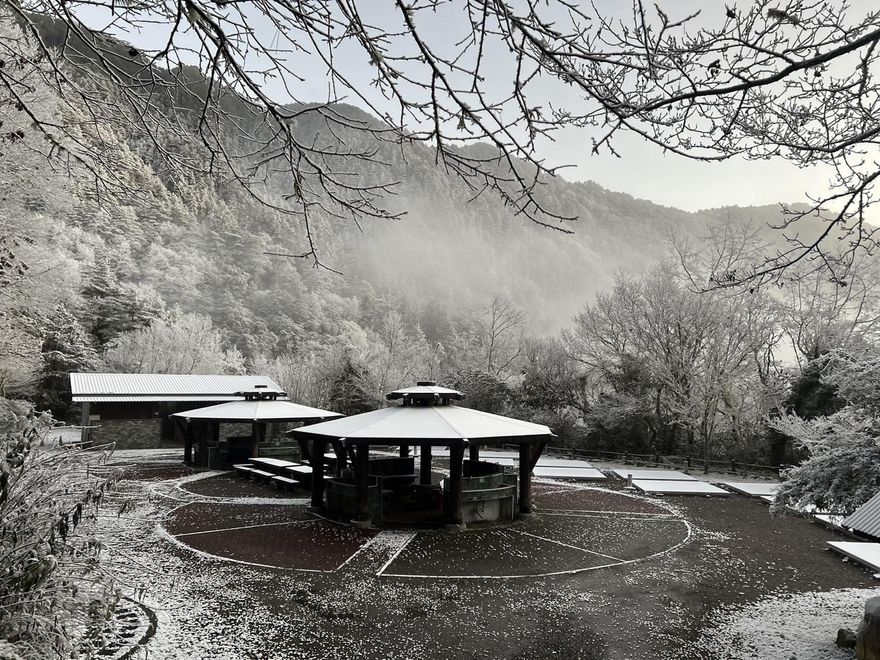 快訊/年獸寒流來敲門！南橫降下絕美雪景　向陽山區成銀白世界